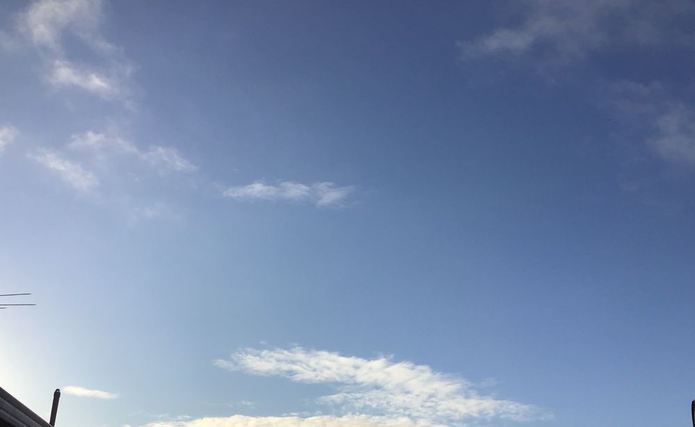 A987E822-65AE-457C-A37F-B1D3070FE45F.jpeg